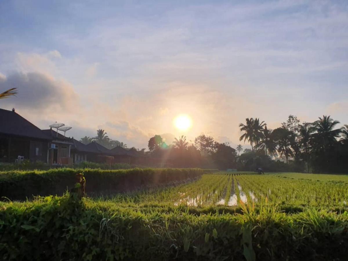 Kayangan Villa Ubud Tegallalang  Zewnętrze zdjęcie
